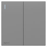 羅格朗開關插座 暢境  深砂銀 二位單控帶指示開關 二開單控 16AX